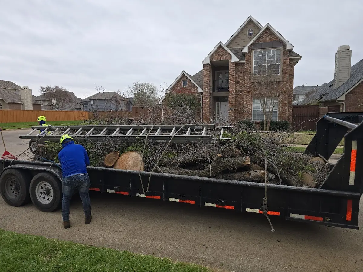 Expert Tree Fertilization with proper safety equipment in Rangeley